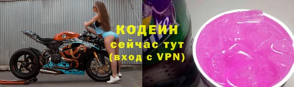 молекула духа Ладушкин