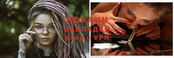 молекула духа Ладушкин