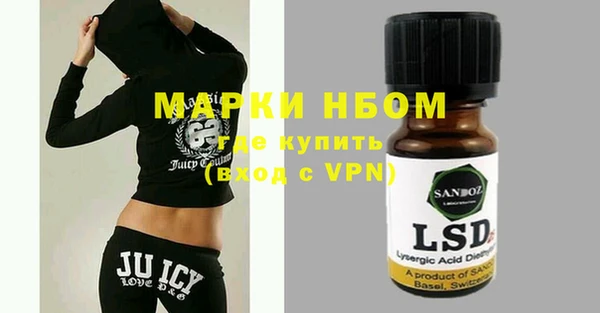 молекула духа Ладушкин