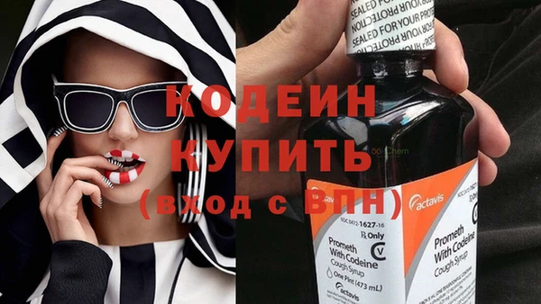 ПСИЛОЦИБИНОВЫЕ ГРИБЫ Лагань