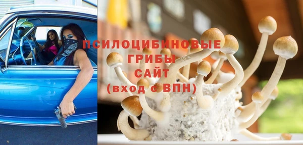 молекула духа Ладушкин