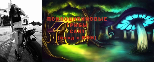 не бодяженный Лабытнанги
